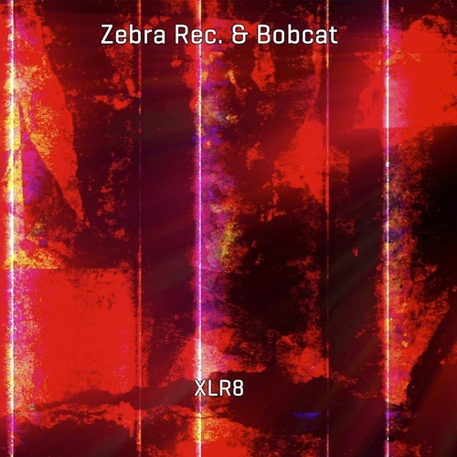 Bobcat, Zebra Rec. - XLR8 [1319167]